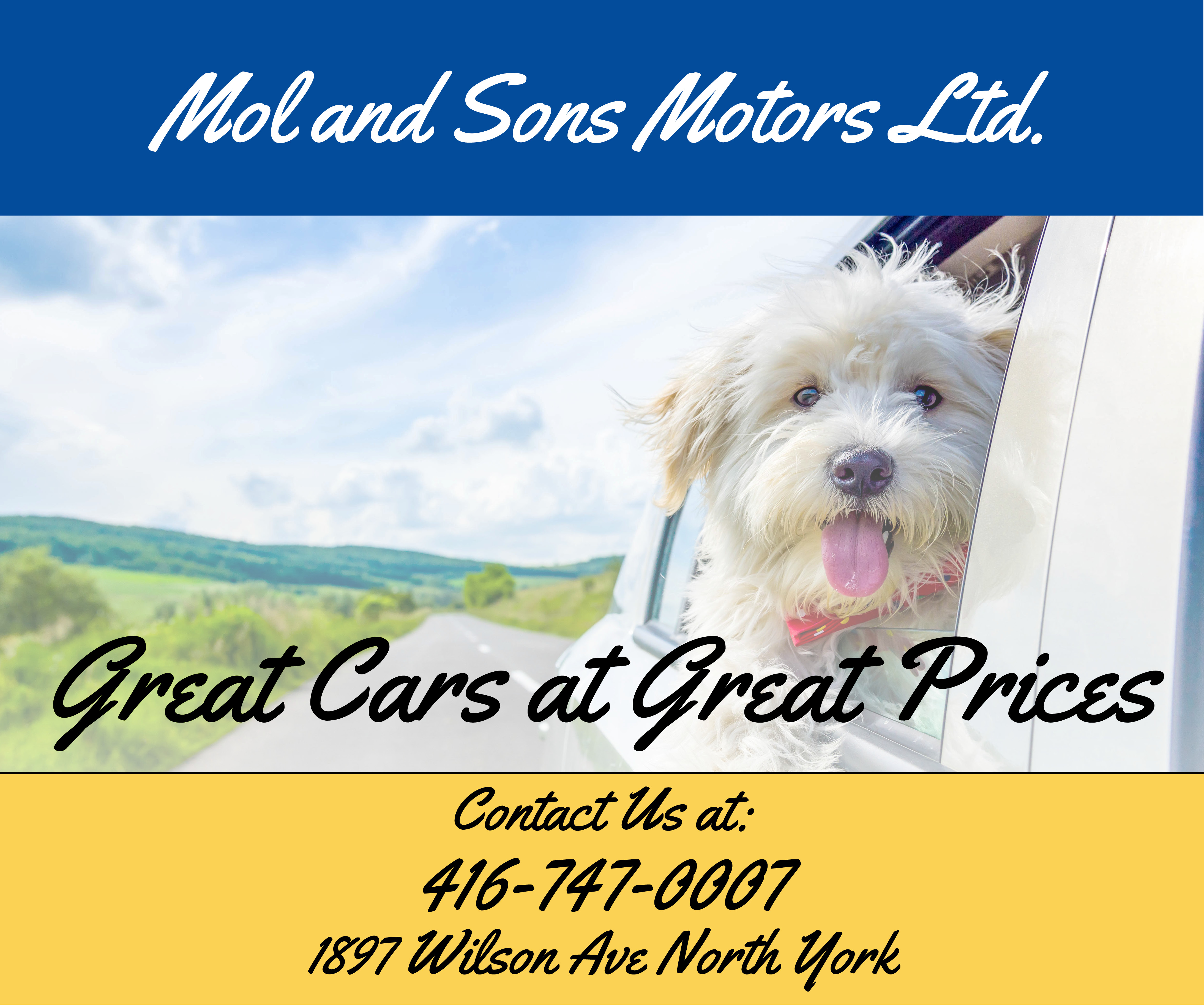 More from Mol and Sons Motors Ltd.
